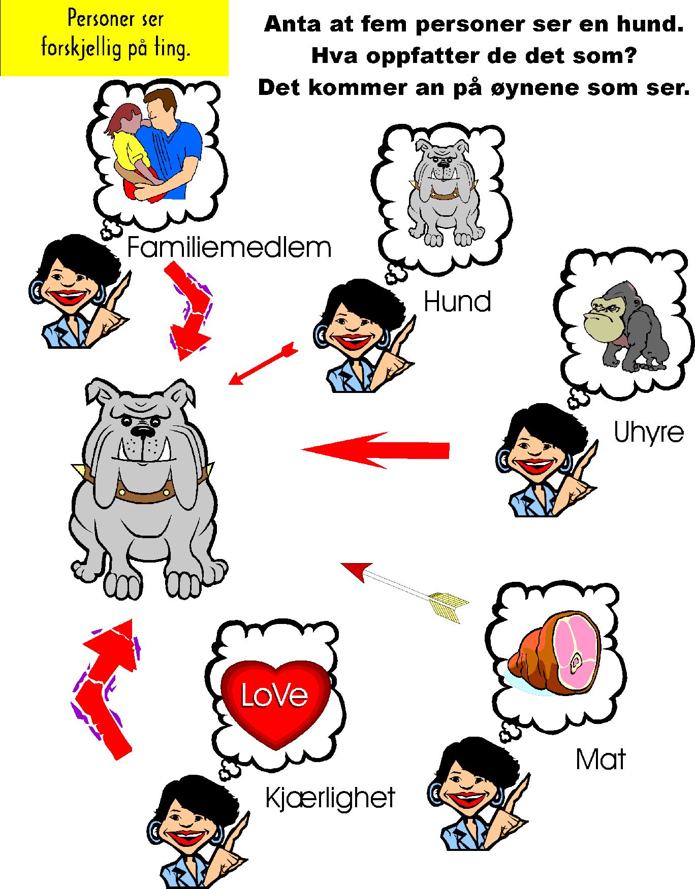 Mange ser forskjellige ting p&aring; et fenomen