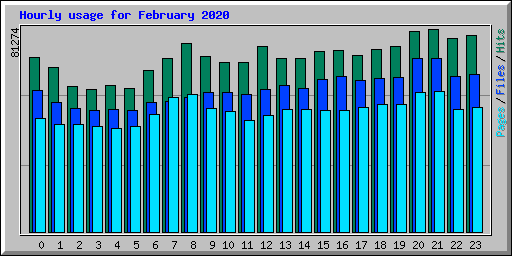 Hourly usage for February 2020