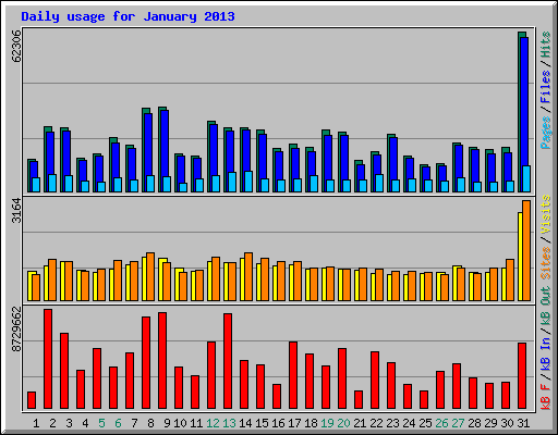 Daily usage for January 2013