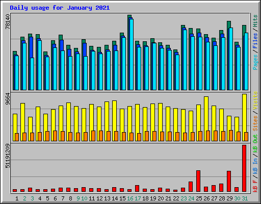 Daily usage for January 2021