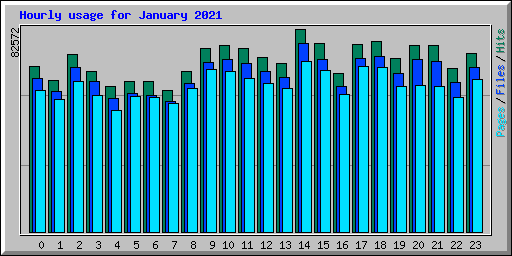 Hourly usage for January 2021