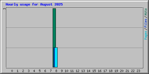 Hourly usage for August 2025