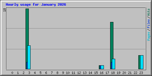 Hourly usage for January 2026